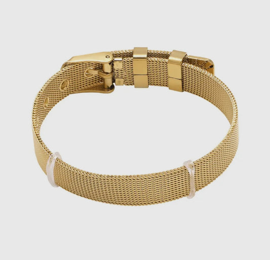 Charm bracelet band